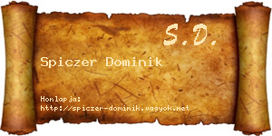 Spiczer Dominik névjegykártya